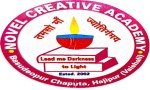 Novel Creative Academy