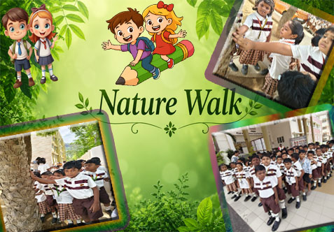 Today, our young explorers embarked on a delightful nature walk within the school campus, immersing themselves in a journey of discovery through the five senses.
